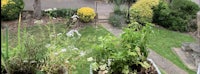 a view of a garden from a window